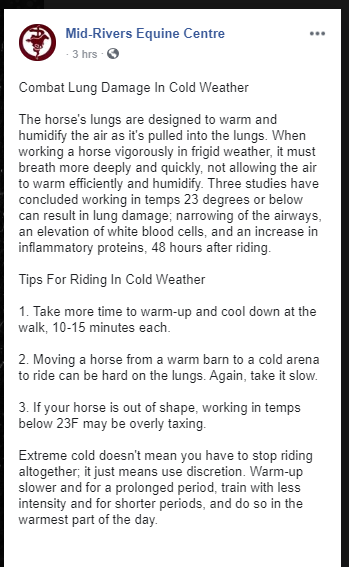 Lisa's link to horses and cold weather