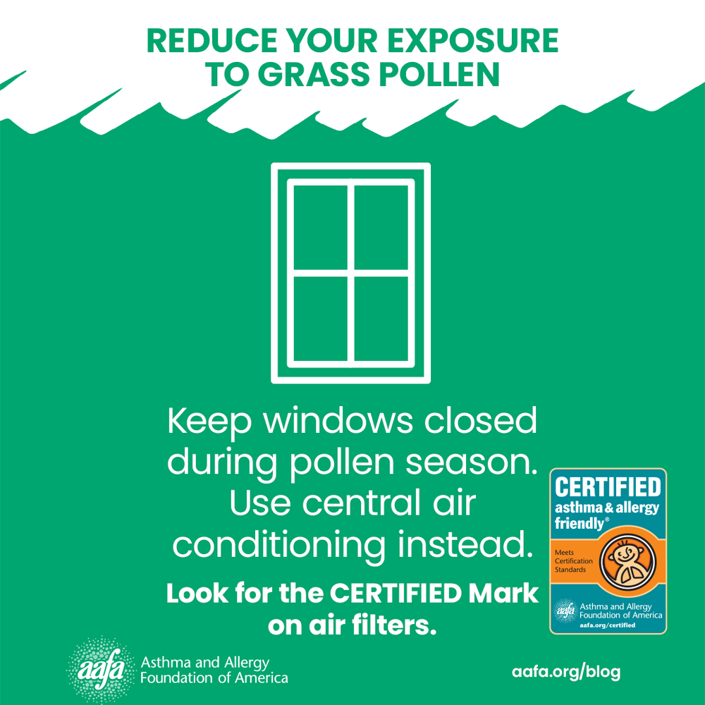 Keep windows closed during pollen season
