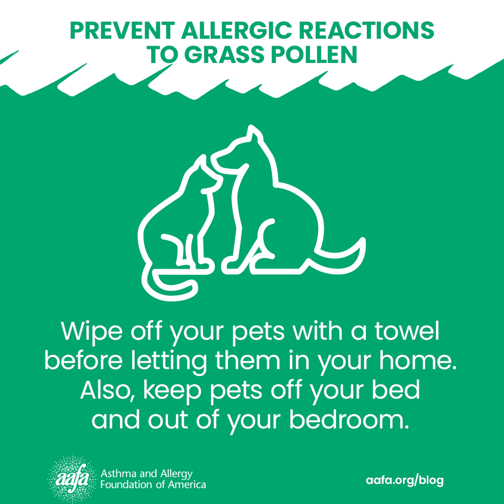 Wipe off pets when they come inside and keep them out of the bedroom