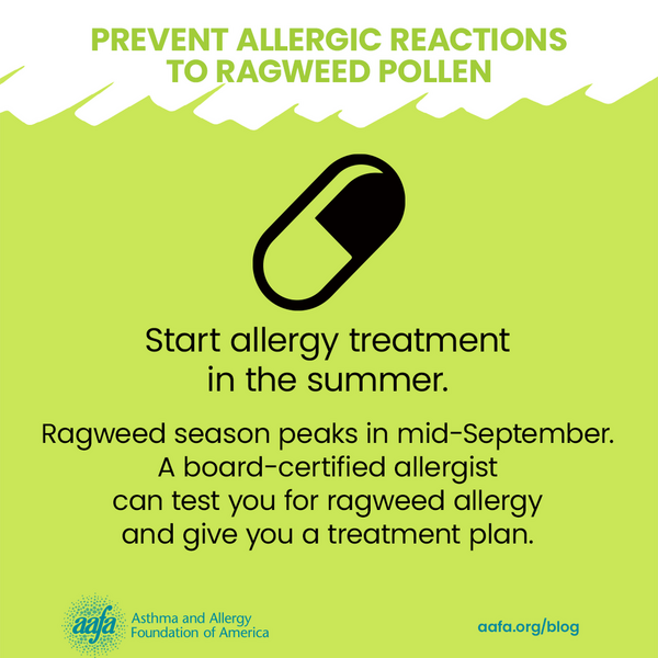 ragweed-pollen-allergy-prevention-start-treatment-in-summer-SM