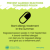 Start allergy treatment in the summer: Start allergy treatment in the summer