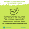 If you have a ragweed allergy, your mouth may itch when you eat certain foods: If you have a ragweed allergy, your mouth may itch when you eat certain foods