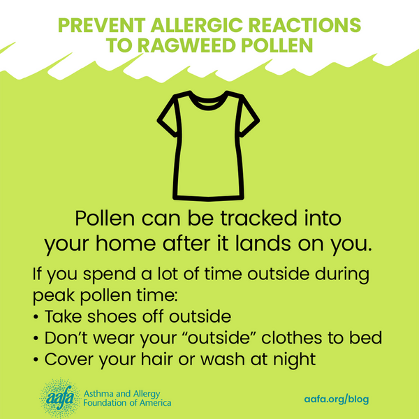 ragweed-pollen-allergy-prevention-pollen-tracked-into-home-SM