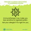 Immunotherapy may make you less sensitive to ragweed pollen: Immunotherapy may make you less sensitive to ragweed pollen