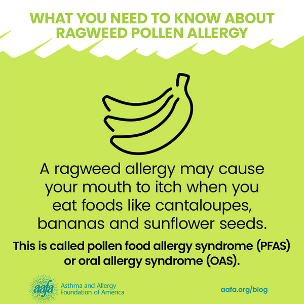 A ragweed allergy may cause your mouth to itch when you eat foods like cantaloupes, bananas, and sunflower seeds.