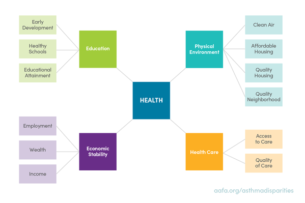 health-in-policies-graphic-ppt