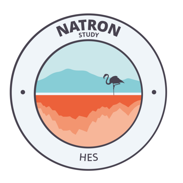 NATRON study logo