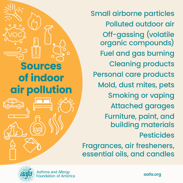 Icons of a thermometer, sun, humidity, and empty water glass with text that lists sources of indoor pollution